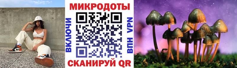 закладки  Куйбышев  Галлюциногенные грибы Psilocybe 